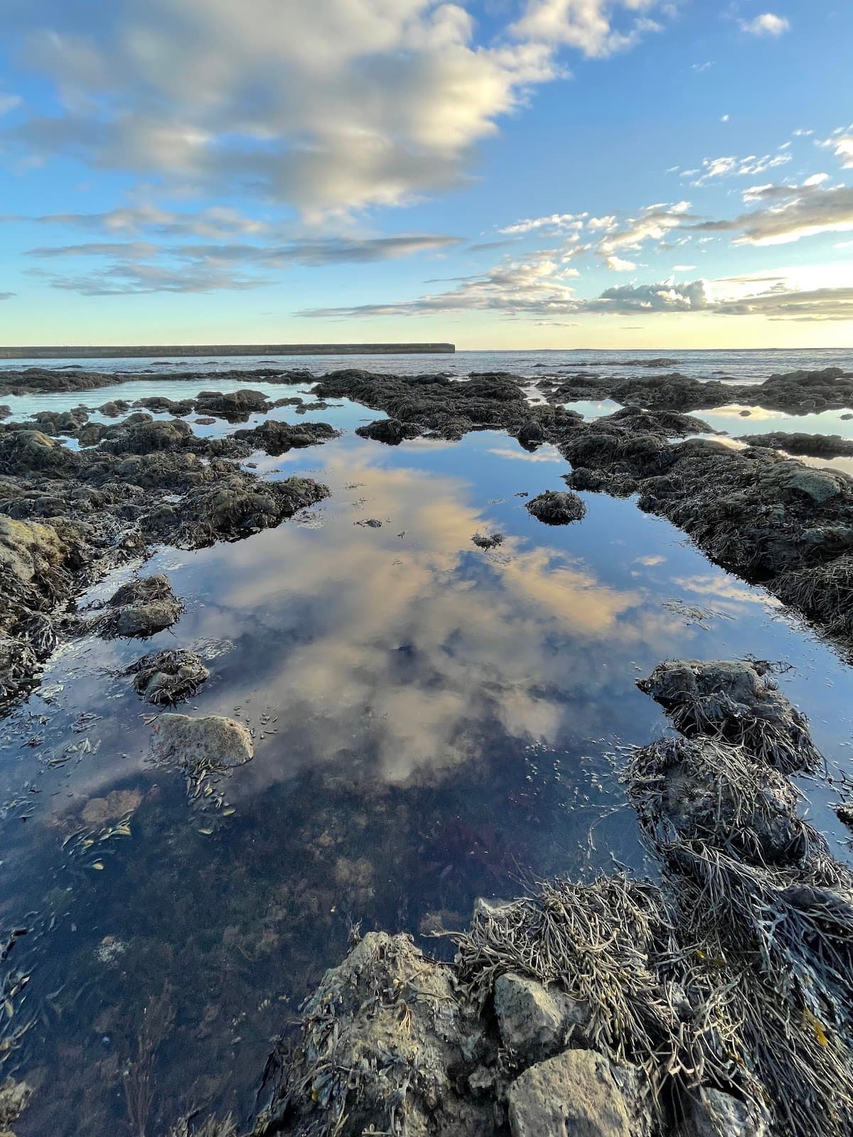 Eyrarbakki Seaside Path - Image 1
