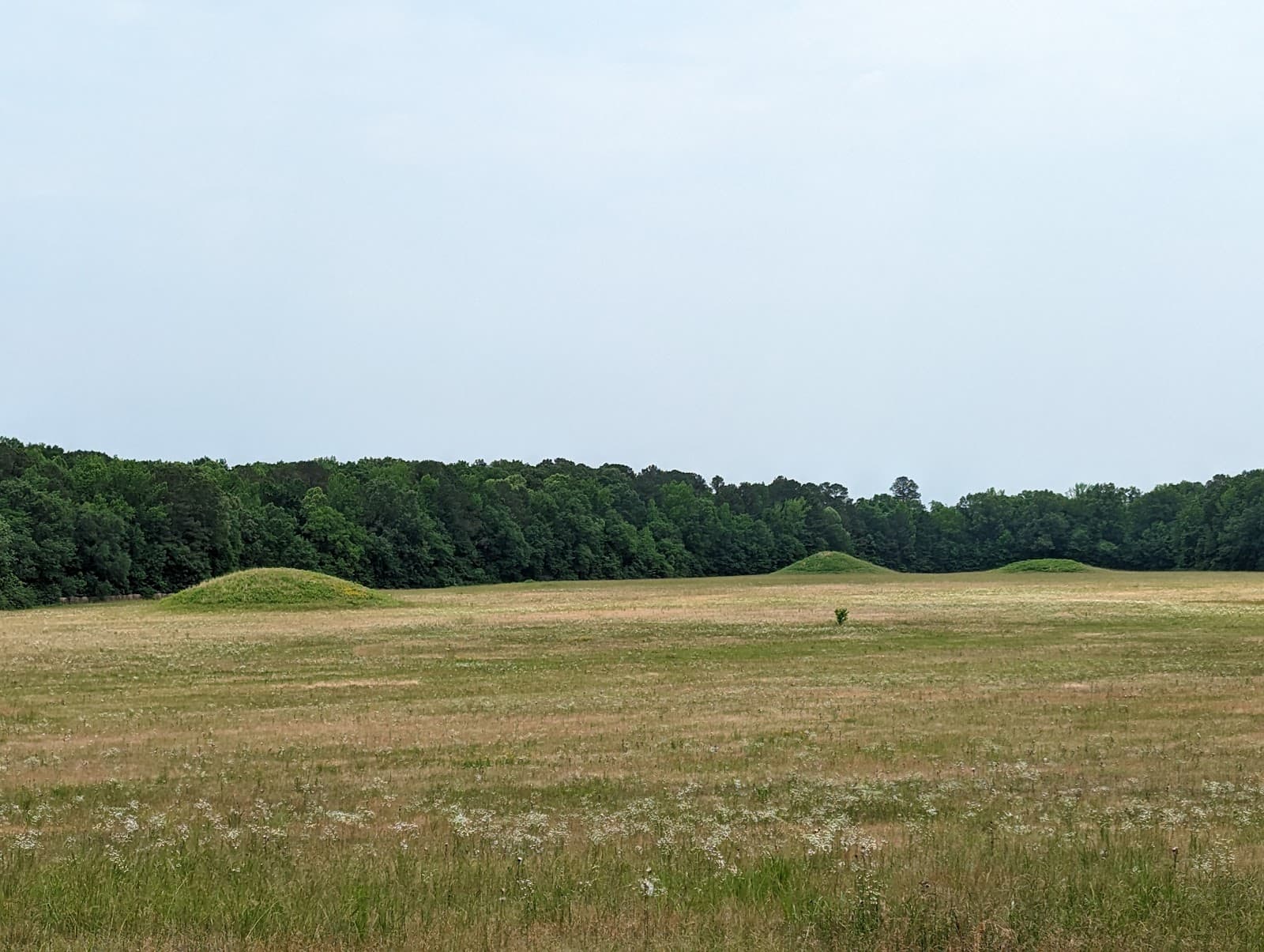 Pharr Mounds - Image 1