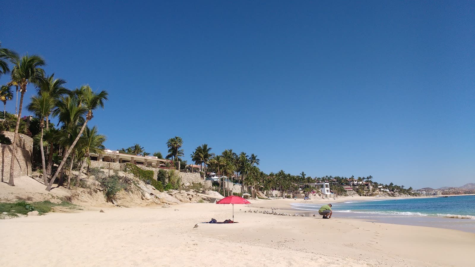 Playa Palmilla San José del Cabo - Image 1
