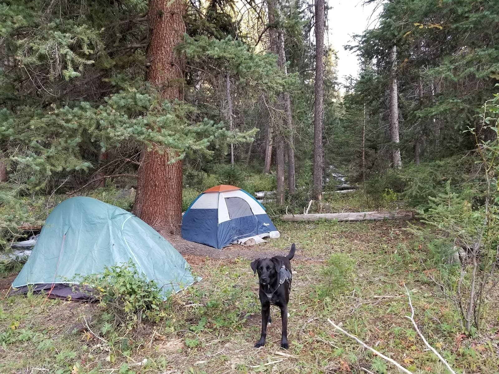 Gros Ventre Road - Image 1