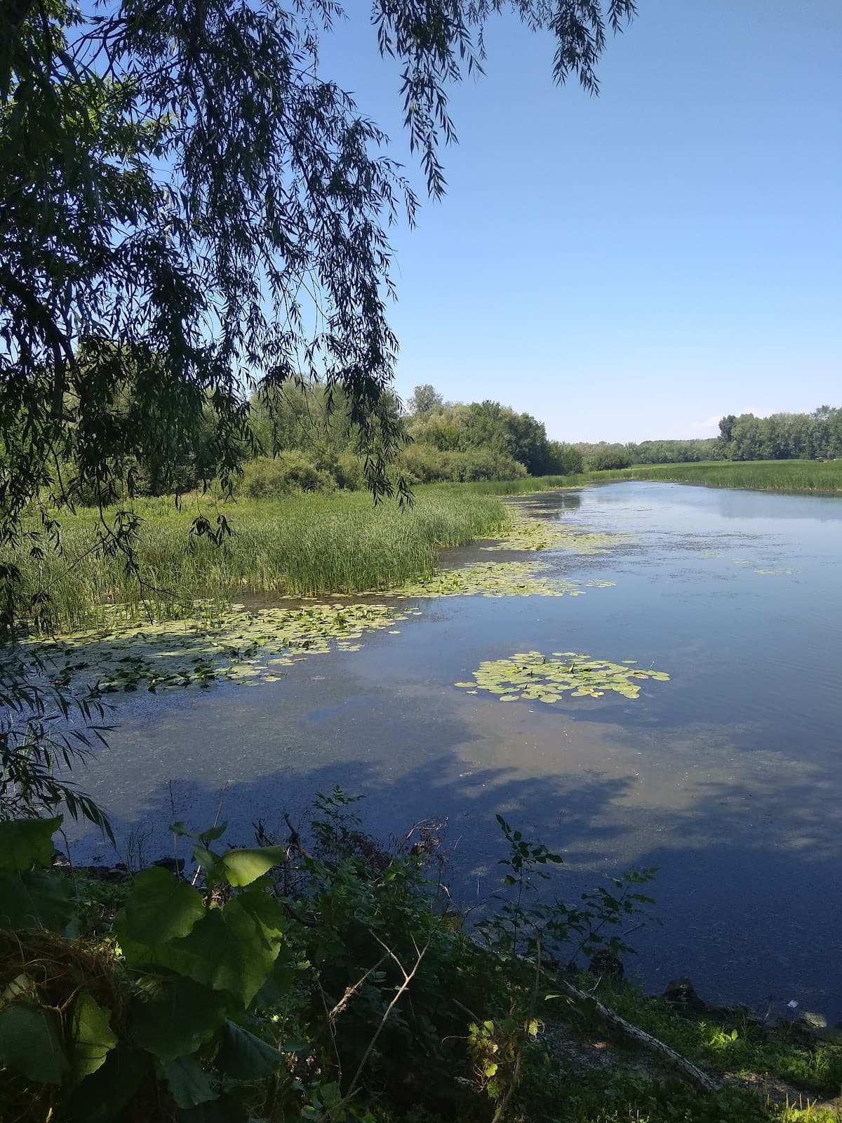 Samarsky District Old Town - Image 1