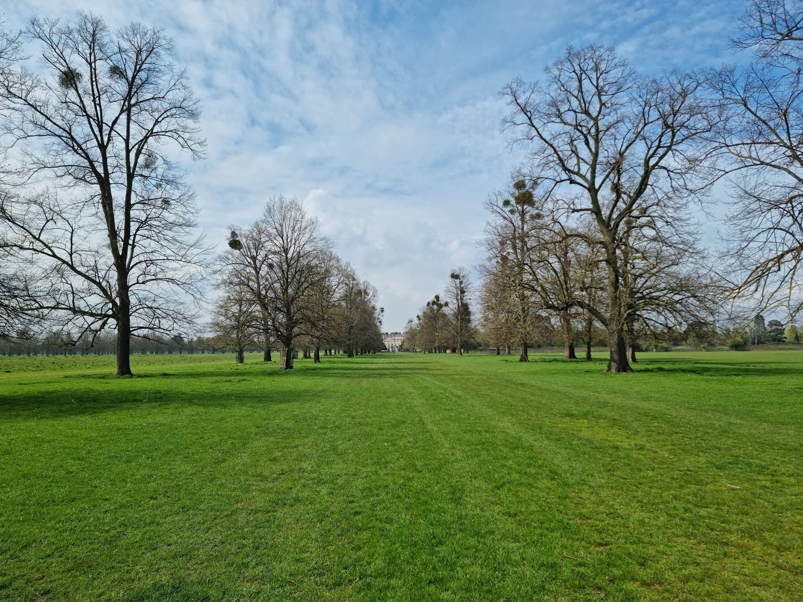 Home Park (Hampton Court) - Image 1