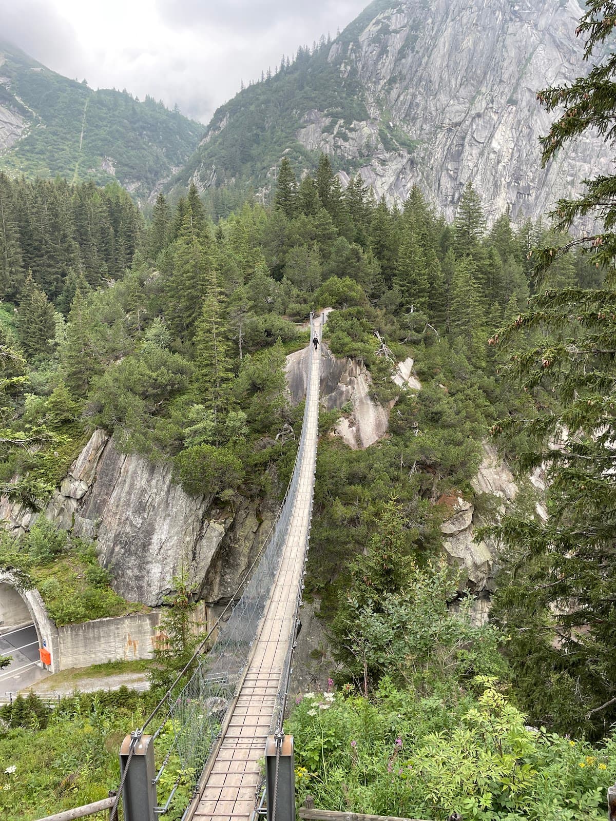 Handeckfall Bridge - Image 1