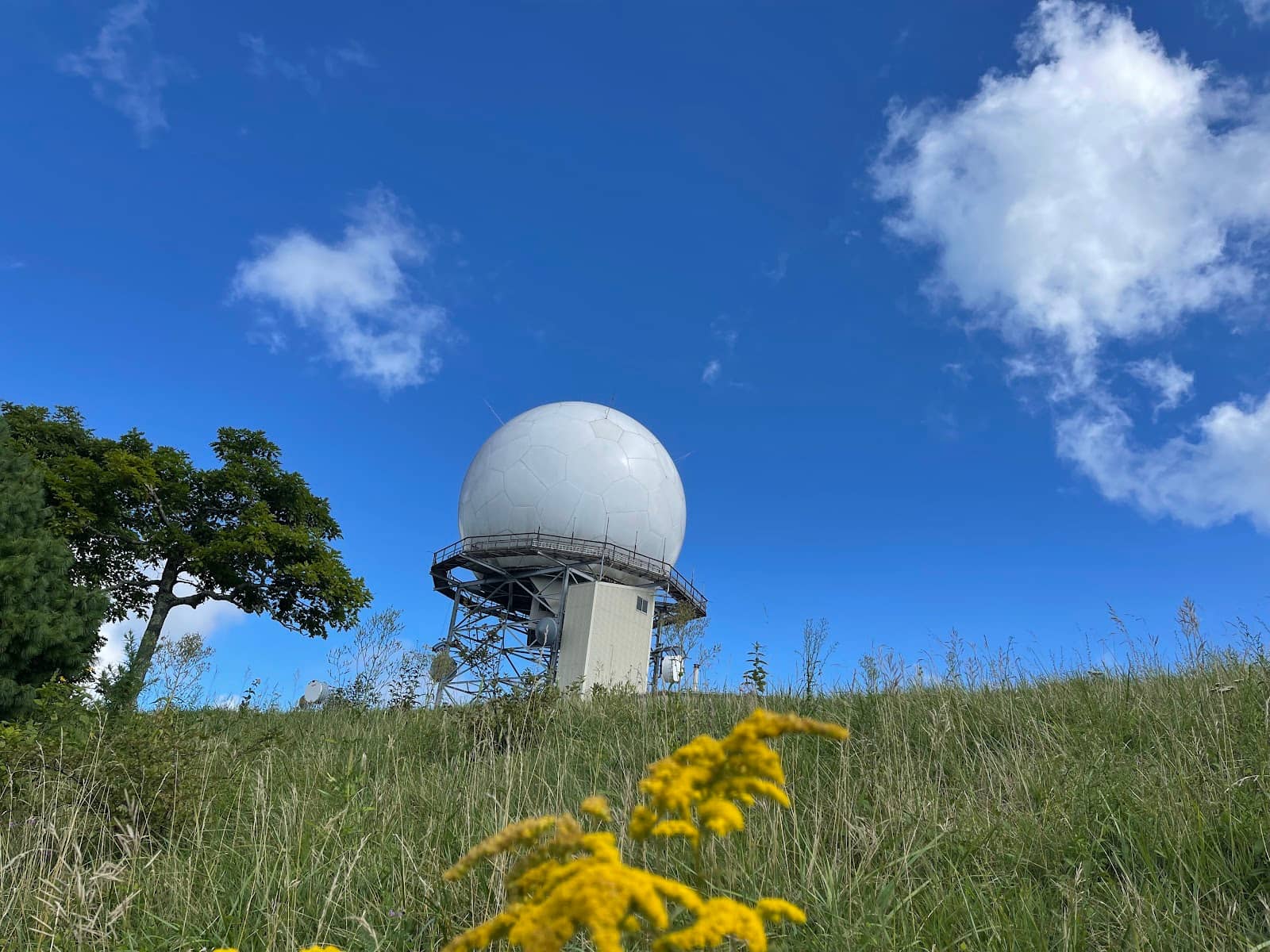 Apple Cider Donuts & Treats