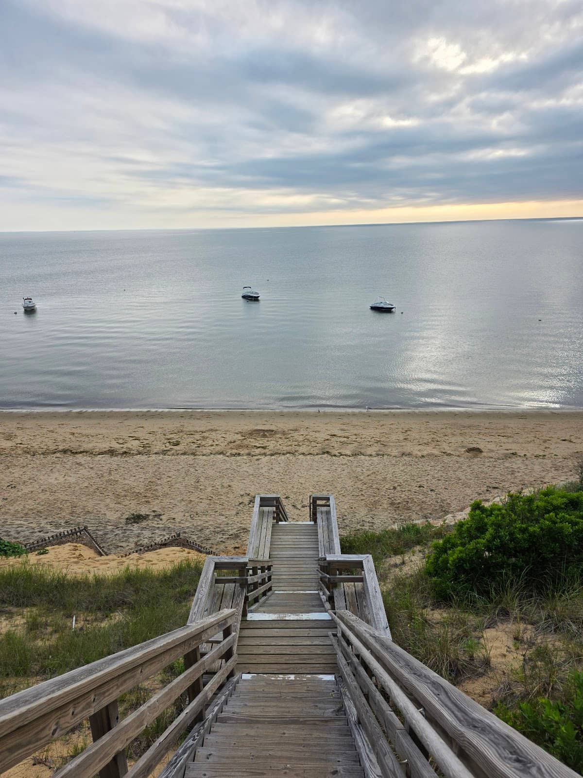 Swimming Opportunities