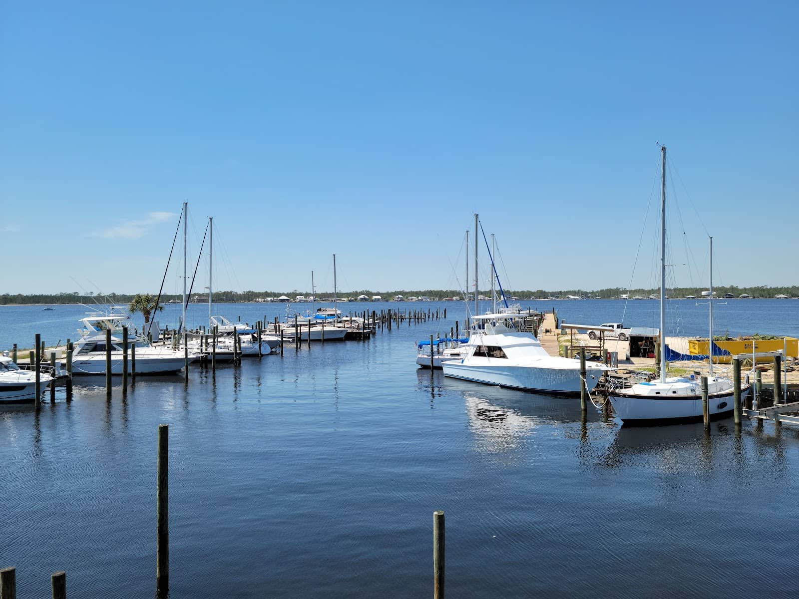 Dockstore Convenience