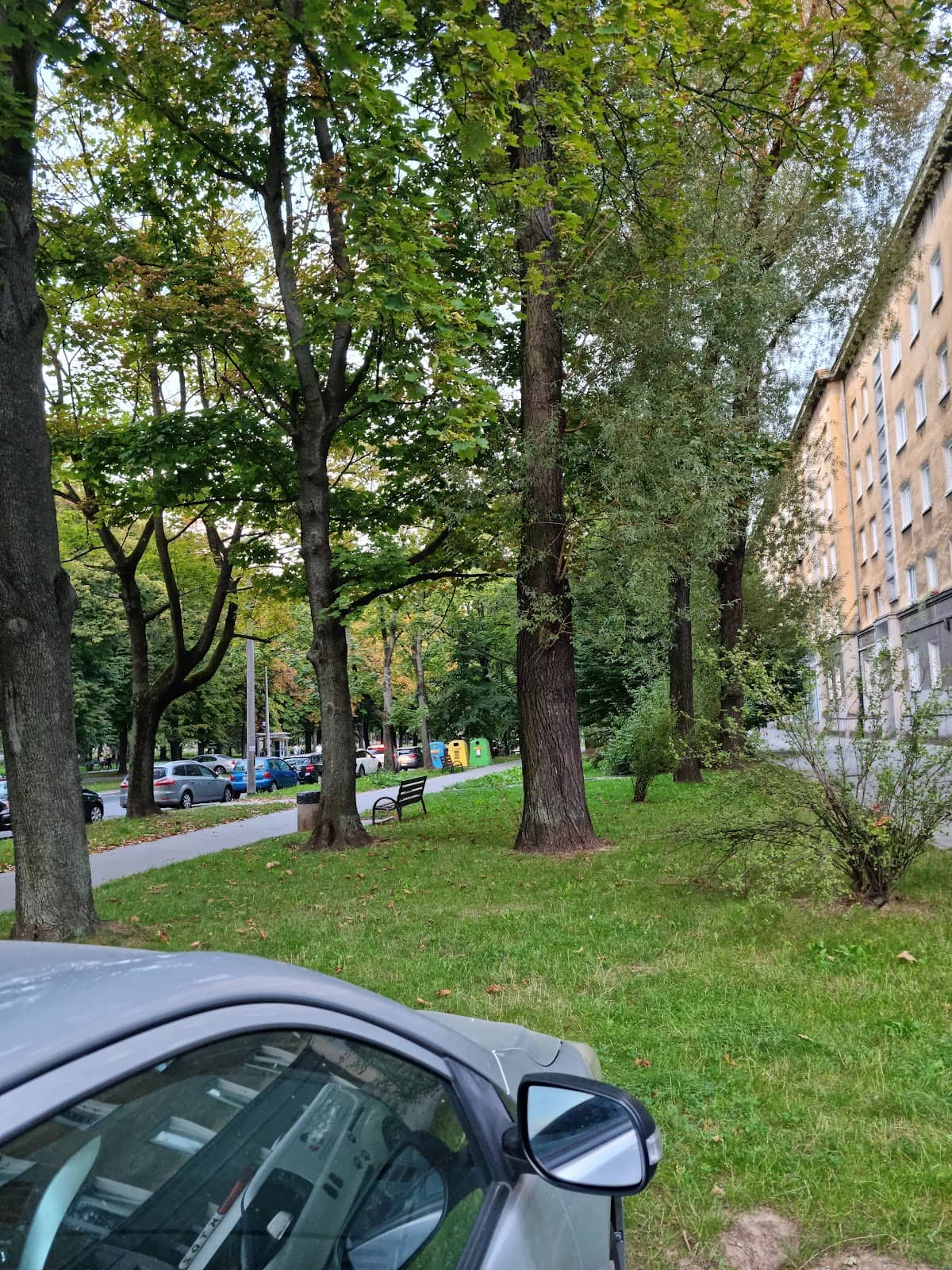 Vertical photo