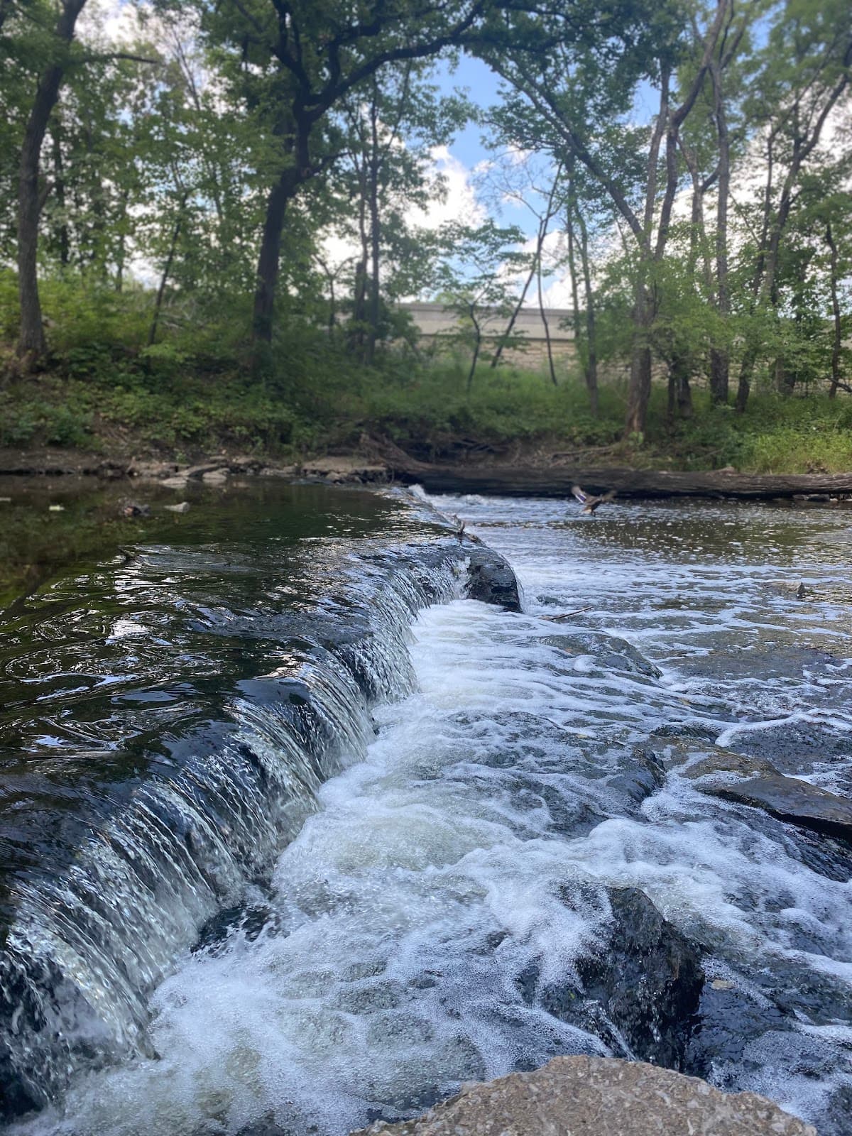Corporate Woods Park & Founders' Park - Image 1