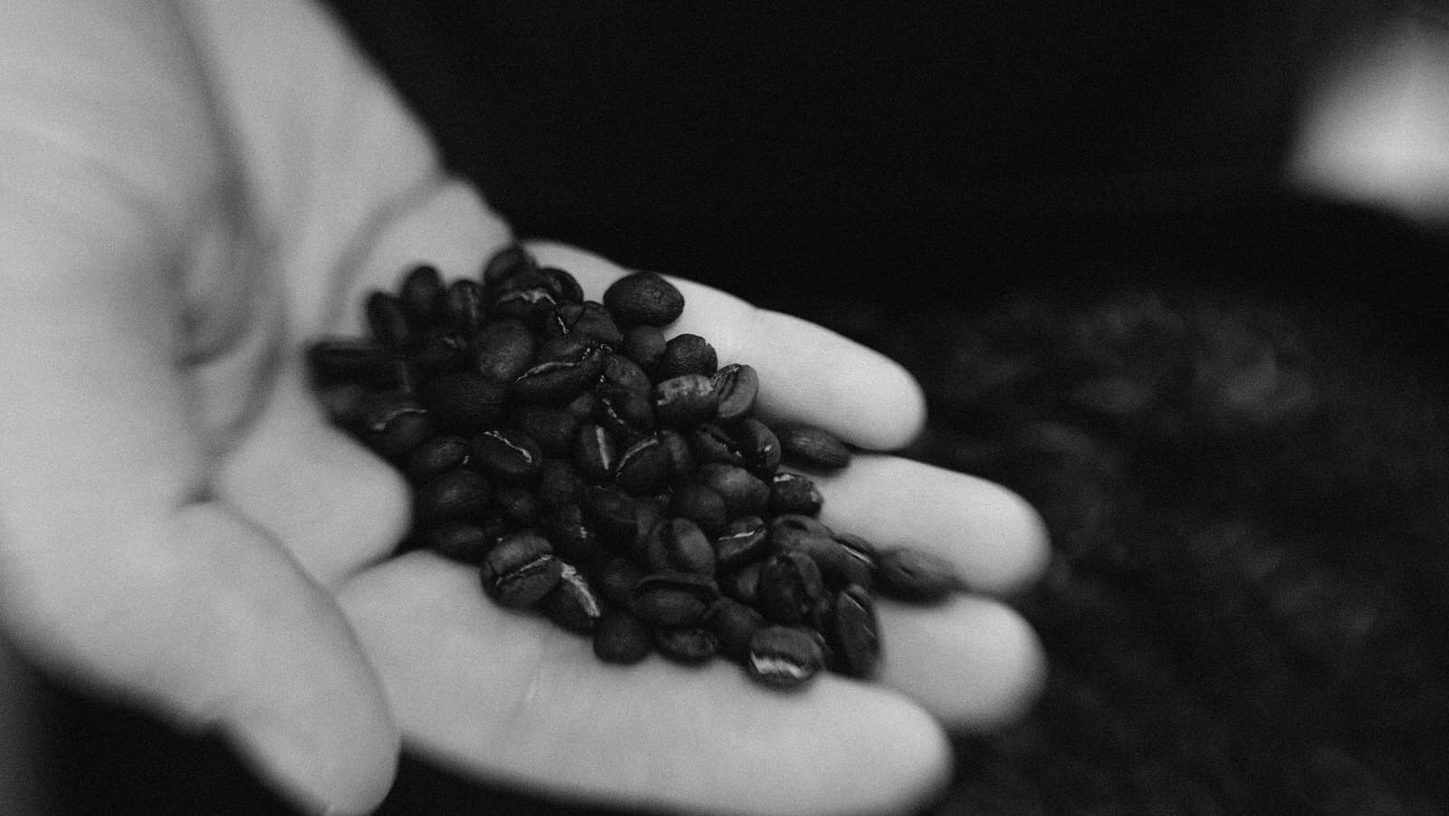 Griot Arts & Meraki Roasting Co. - Image 1