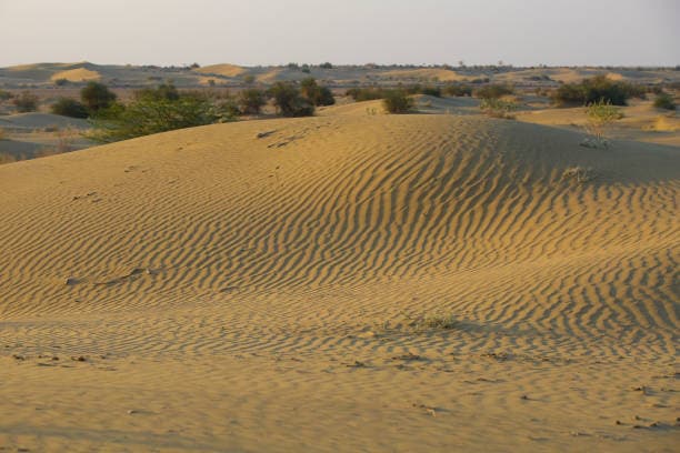 Desert National Park Rajasthan India - Image 1