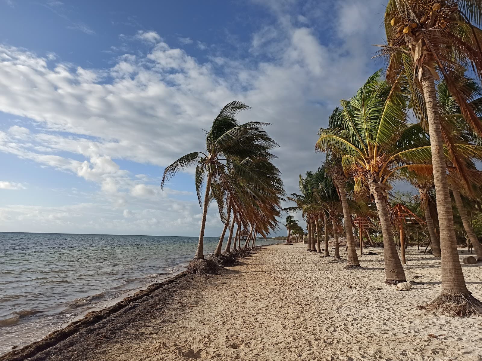 Playa Coral (El Mirador II) Cancún - Image 1