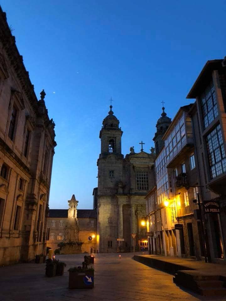 The French Way (Camino Francés)