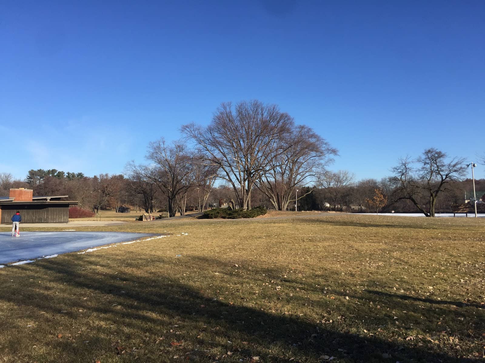 Greenbush Bar's Iconic Pizza