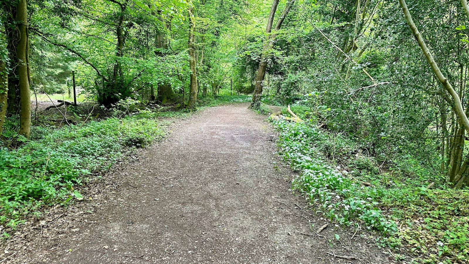 Woodland Trails