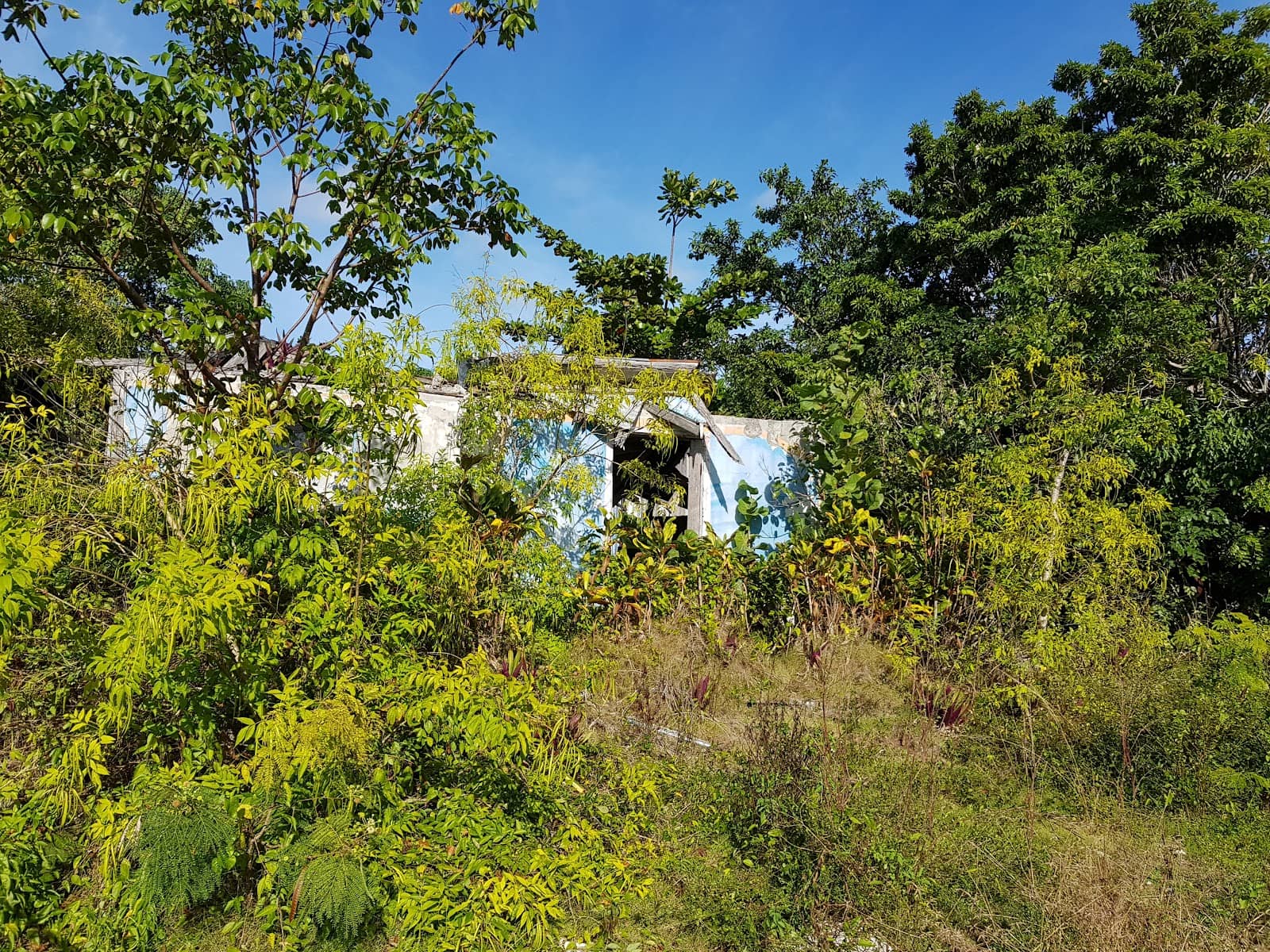 Vertical photo