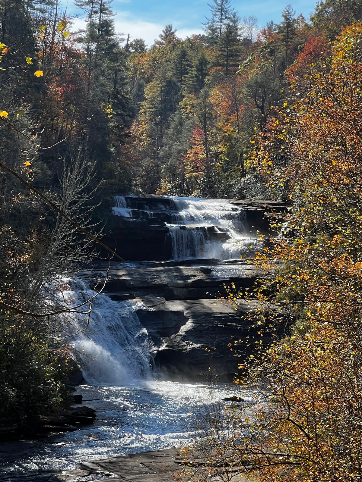 DuPont State Forest - Image 1