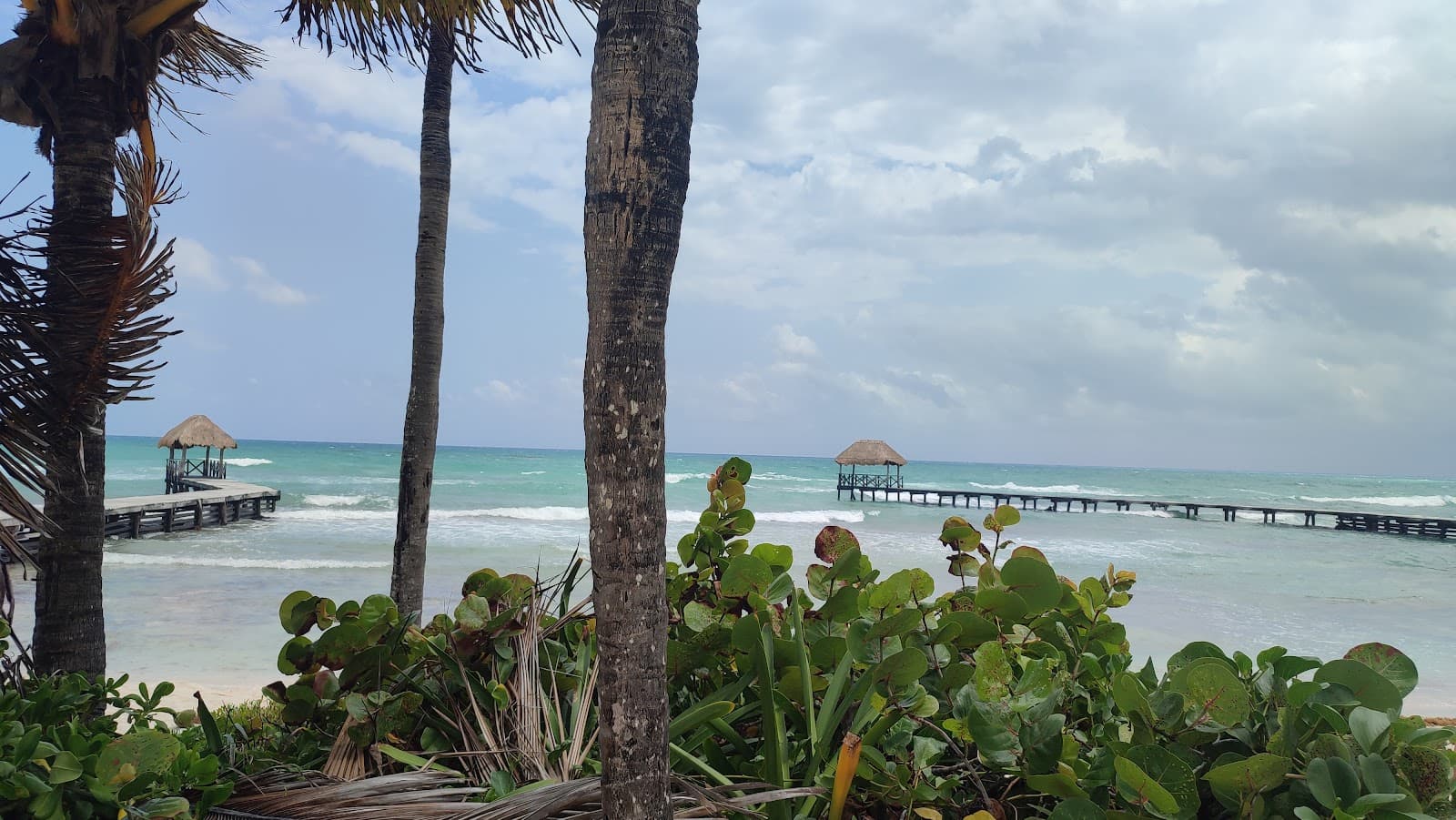 Riviera Maya Jungle - Image 1