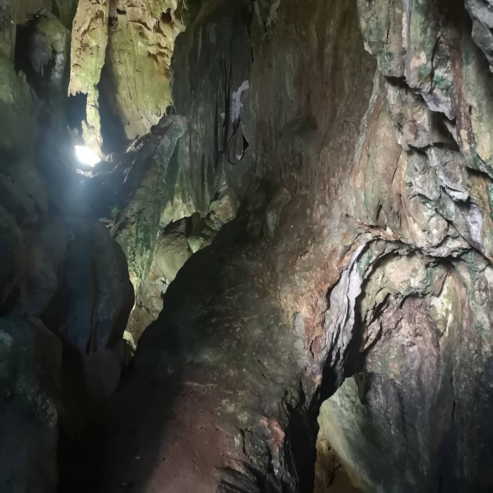 Vertical photo
