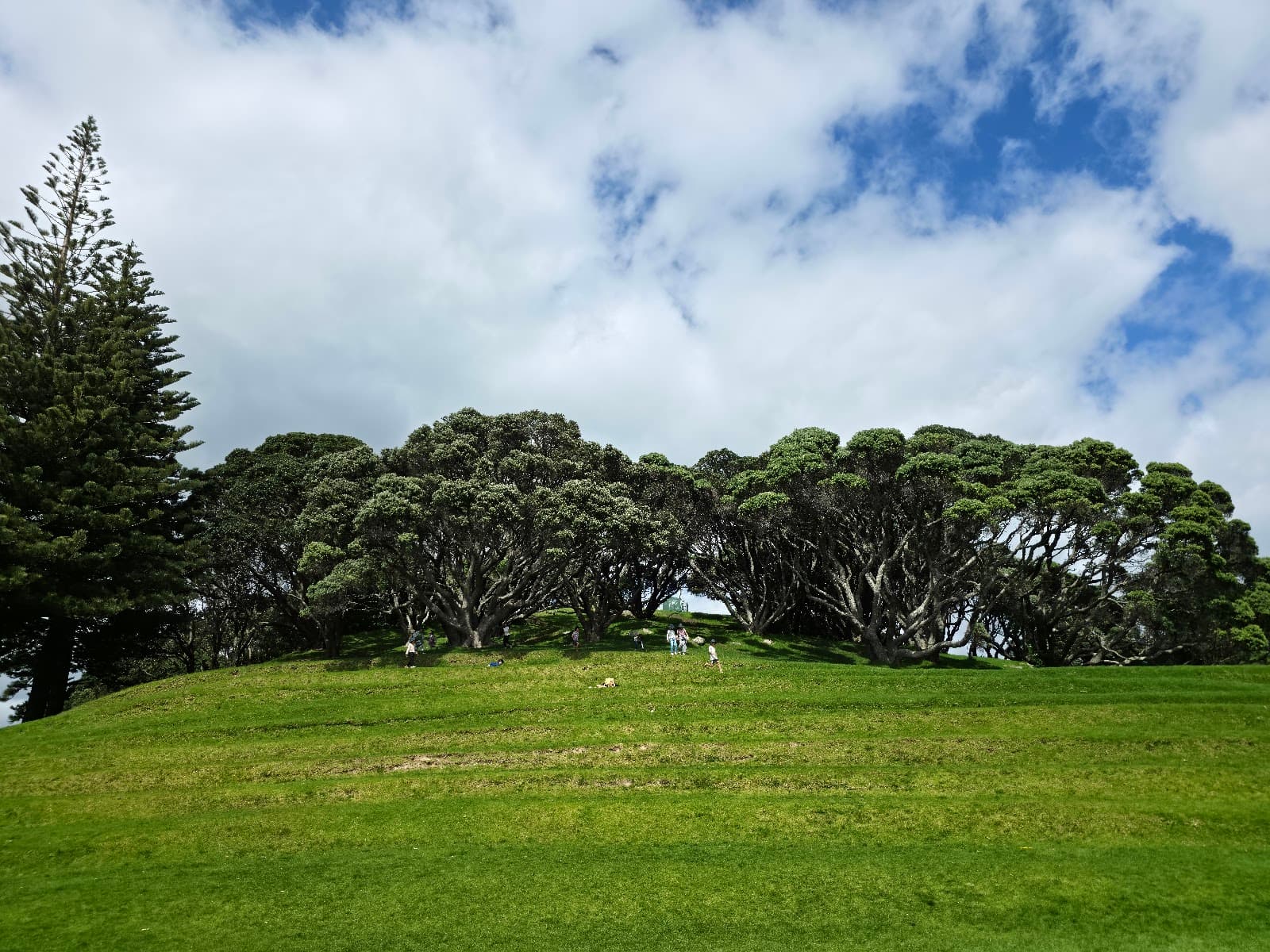Mount Drury / Hopukiore Reserve - Image 1