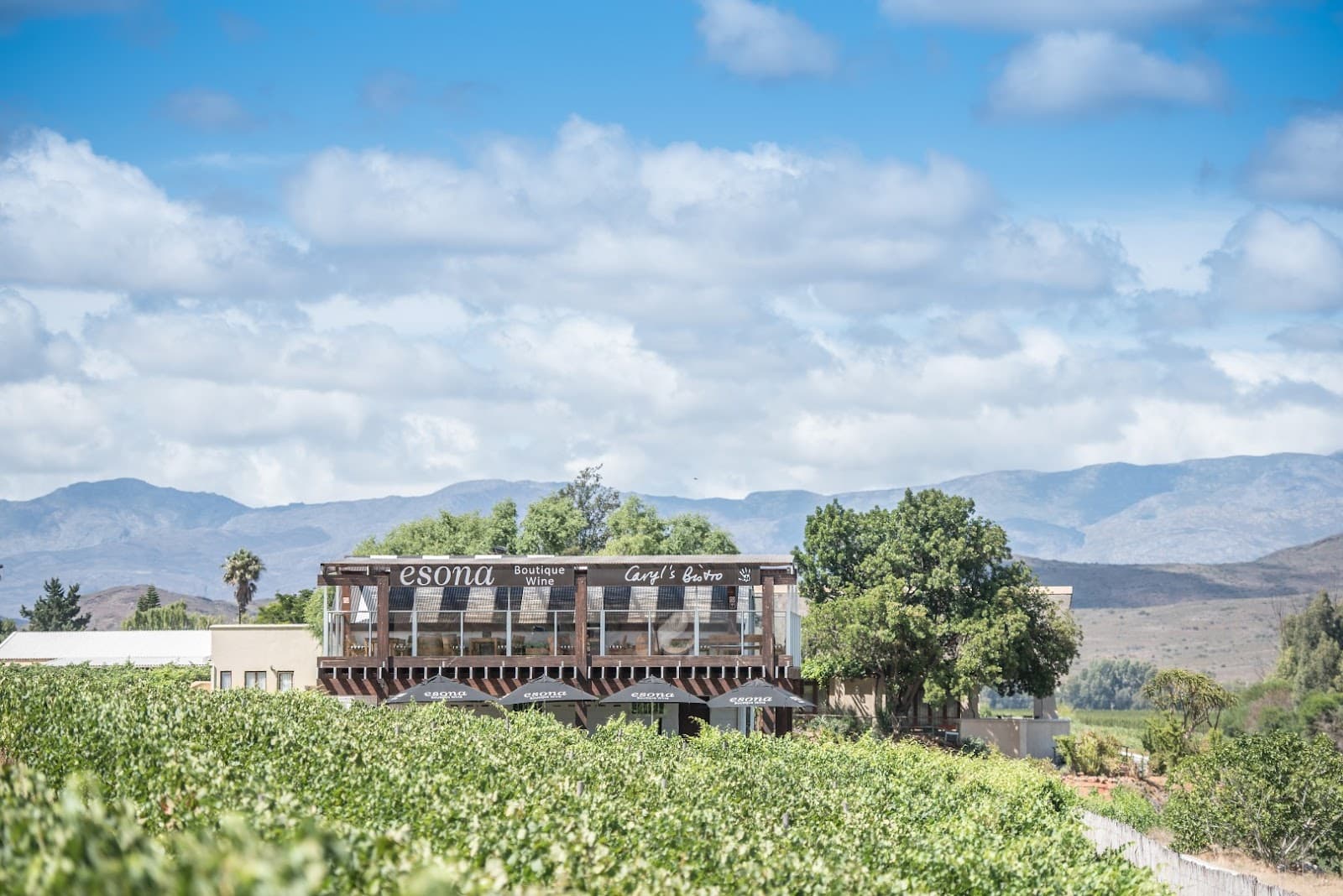 Esona Boutique Wine - Image 1