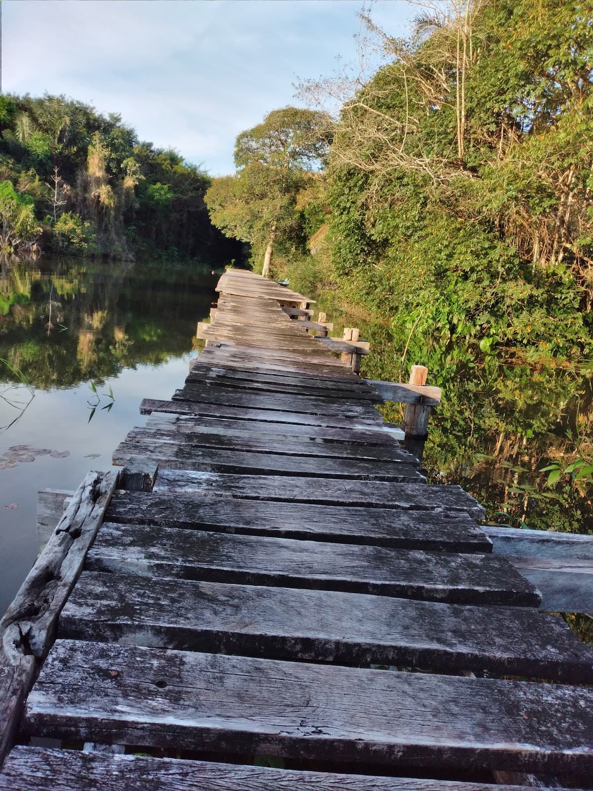 Comunidade de Maguari (FLONA) - Image 1