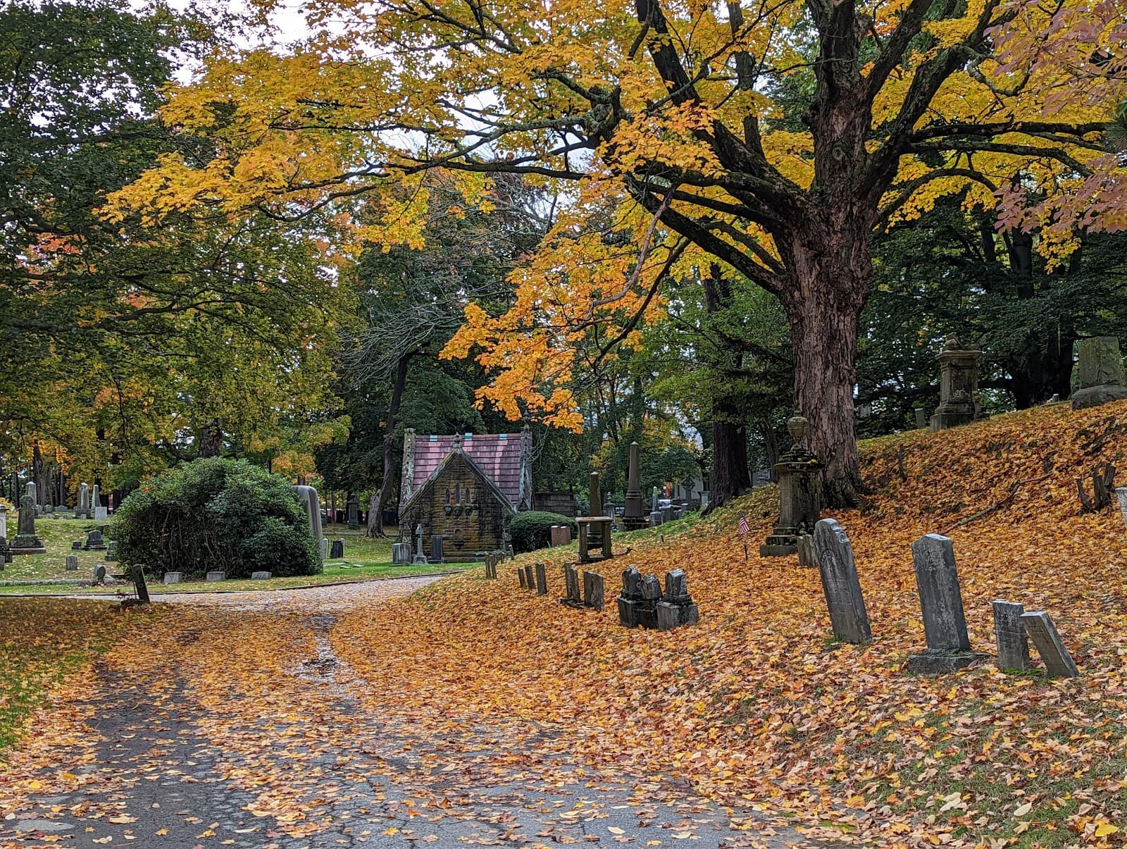 Rural Cemetery - Image 1