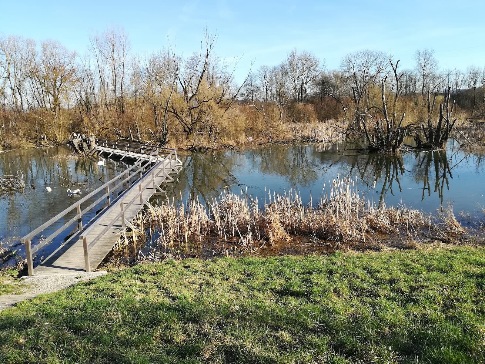 Traisenauen Nature Reserve - Image 1