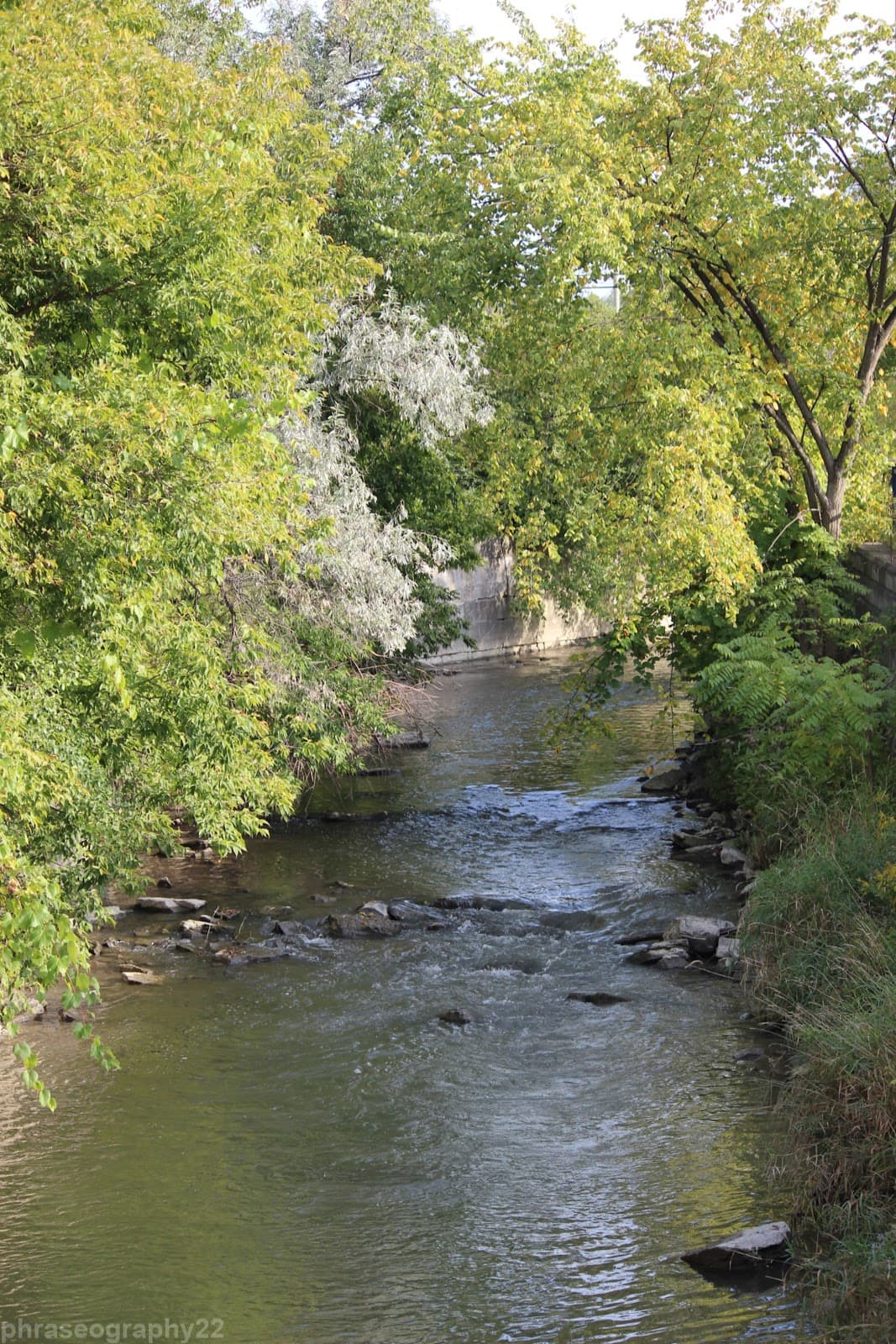 Mabel Davis Conservation Area - Image 1