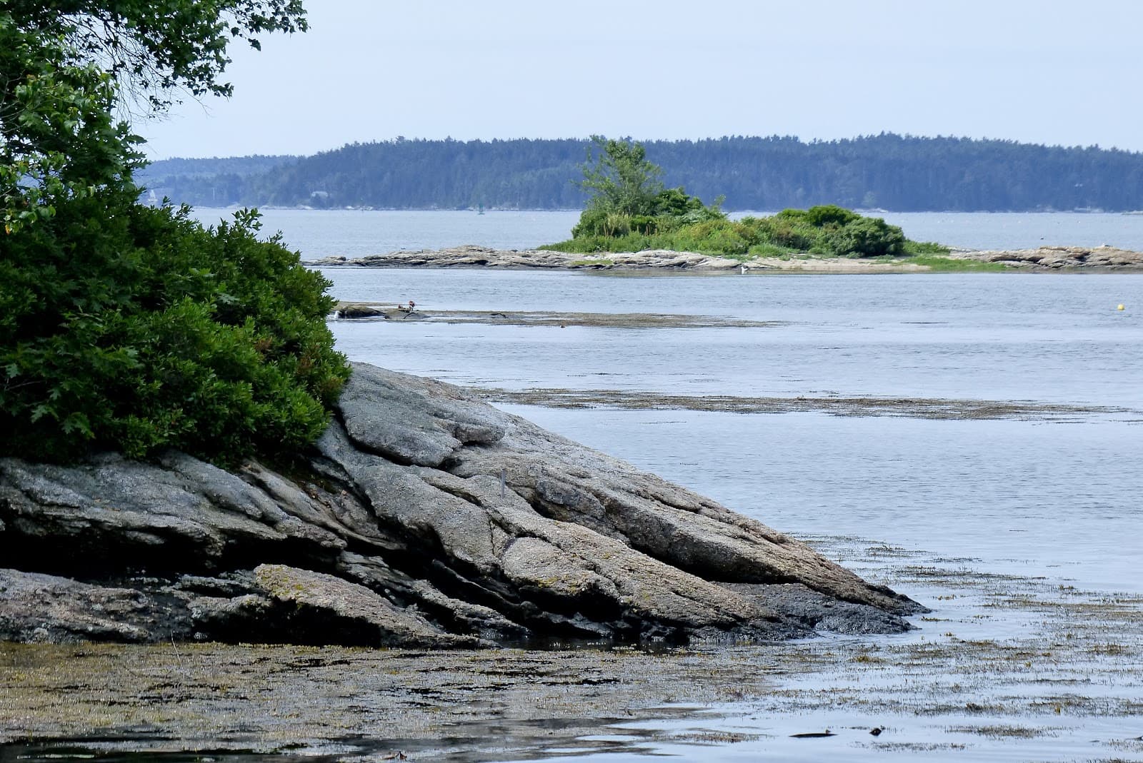 Porter Preserve - Image 1