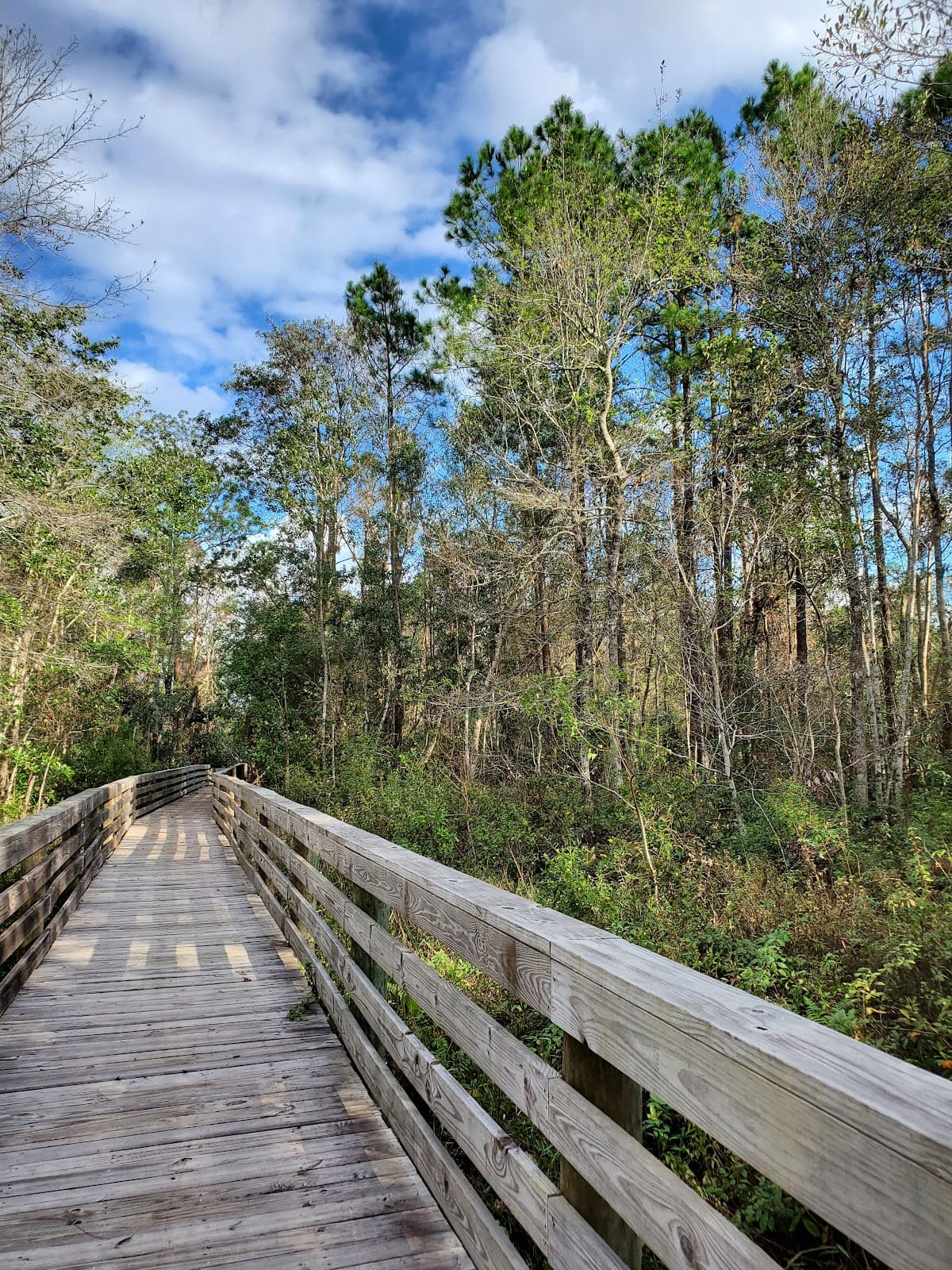 Jones Swamp Wetland Preserve - Image 1