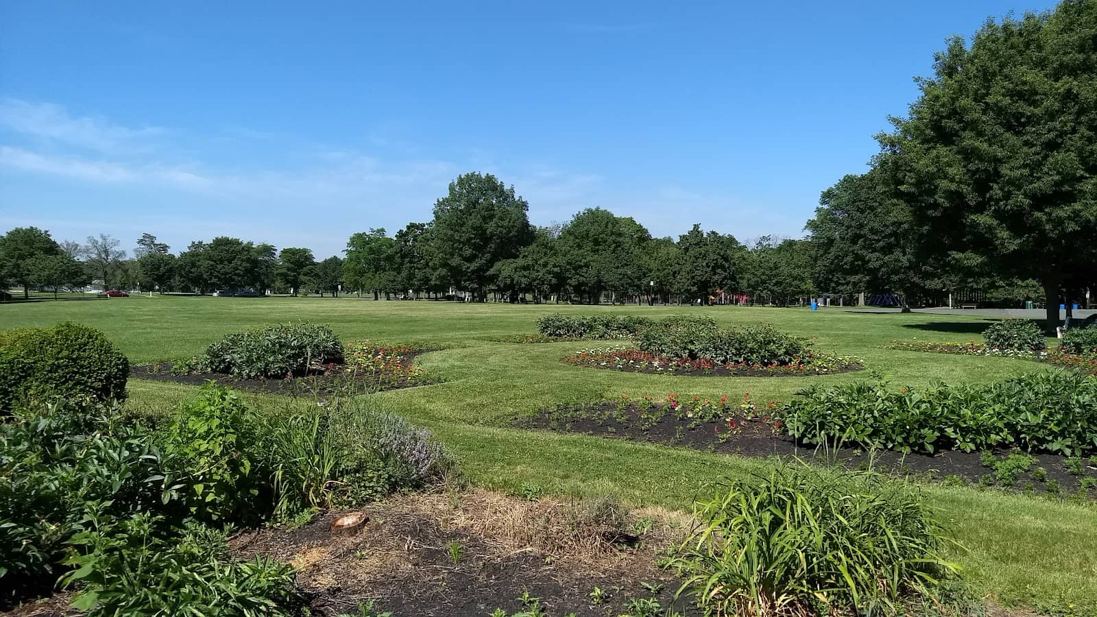 Sports Fields & Courts