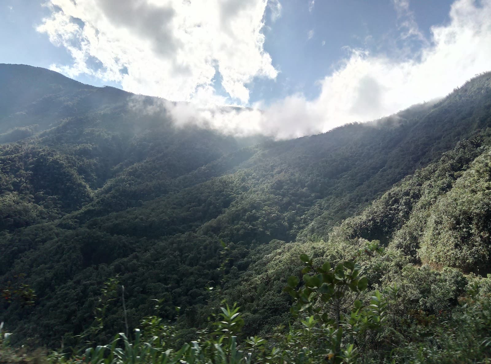 Munchique National Natural Park - Image 1