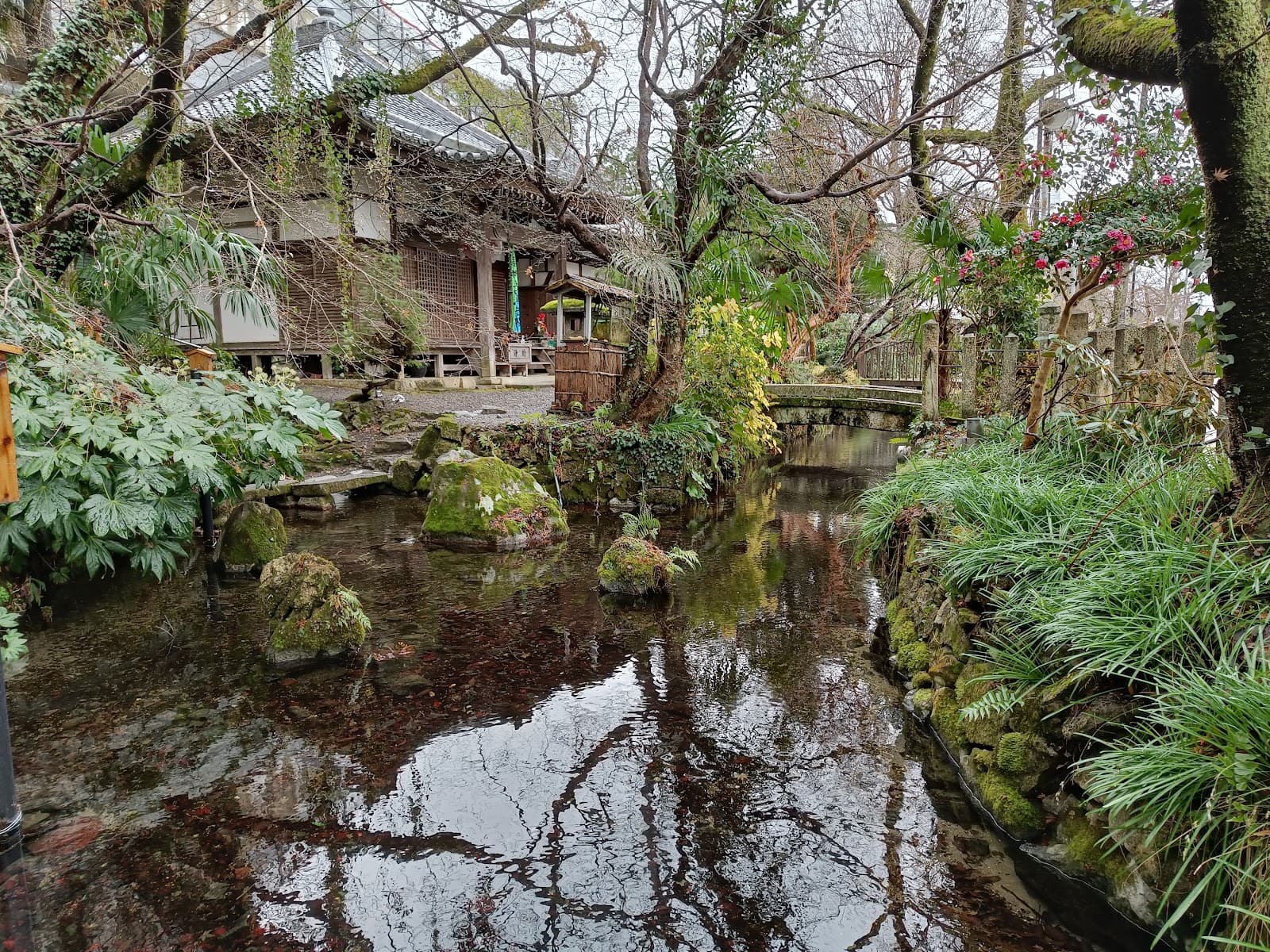 Samegai-juku - Image 1