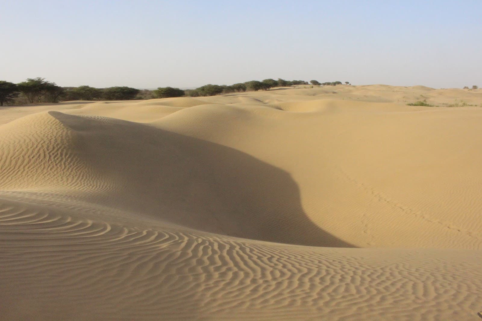 Khuri Sand Dunes Jaisalmer - Image 1