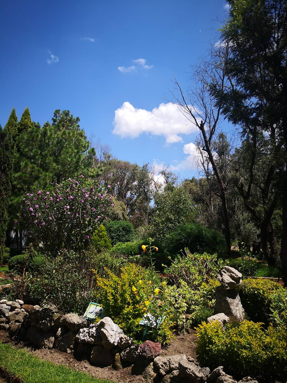 Educational & Recreational Space