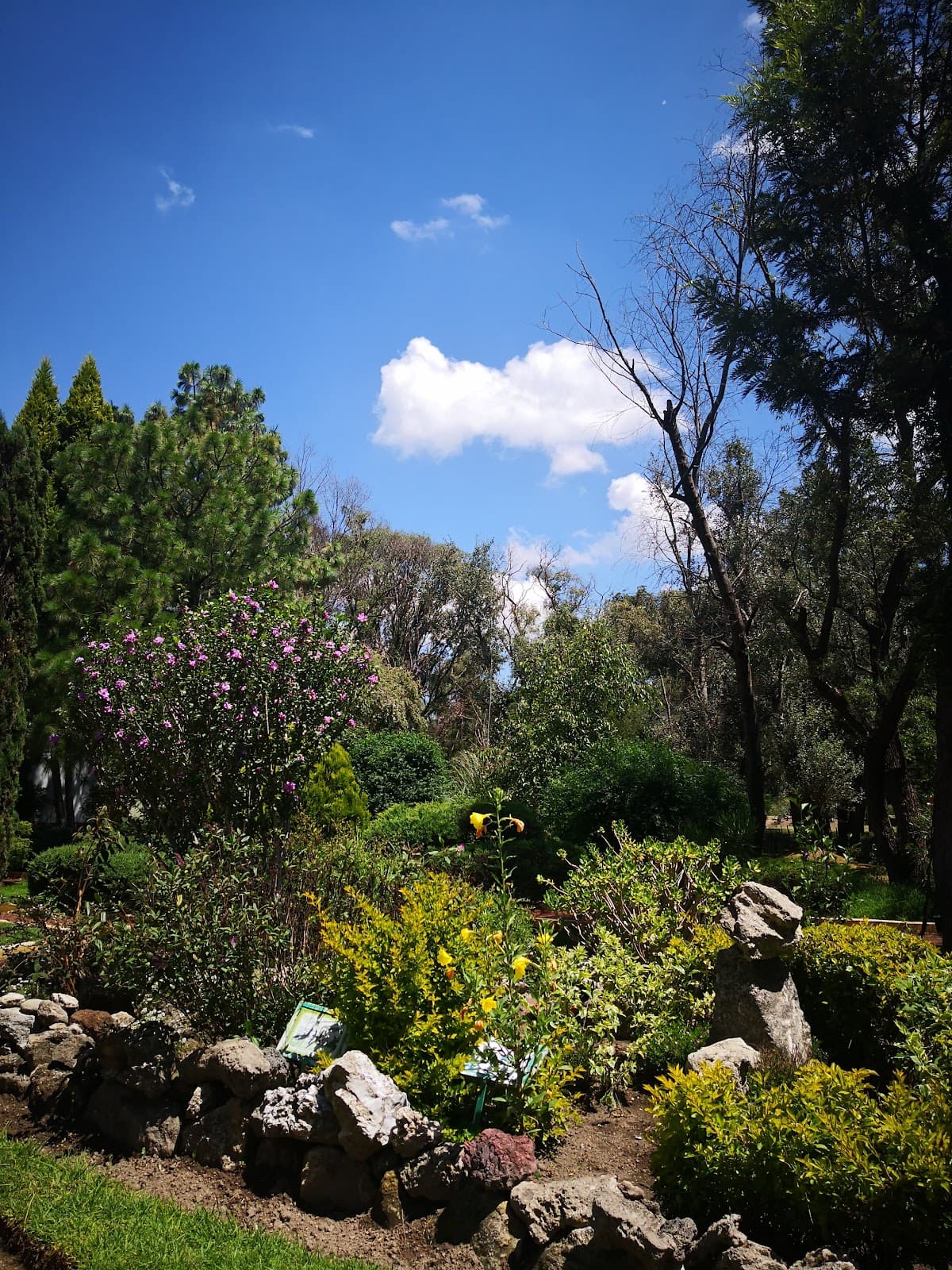 Tizatlán Botanical Garden - Image 1