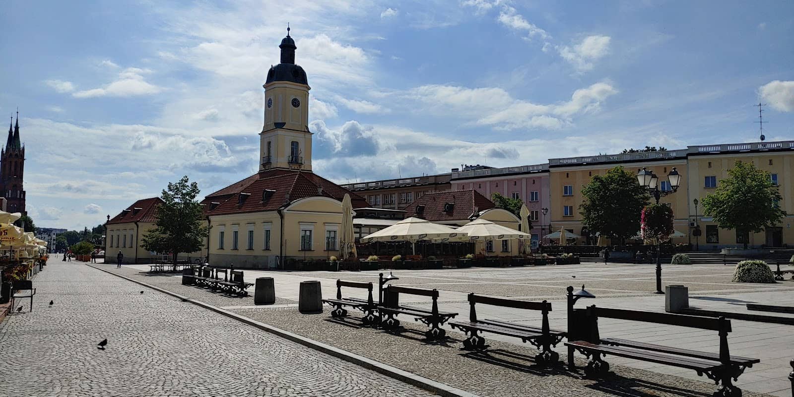 Street Food Delights