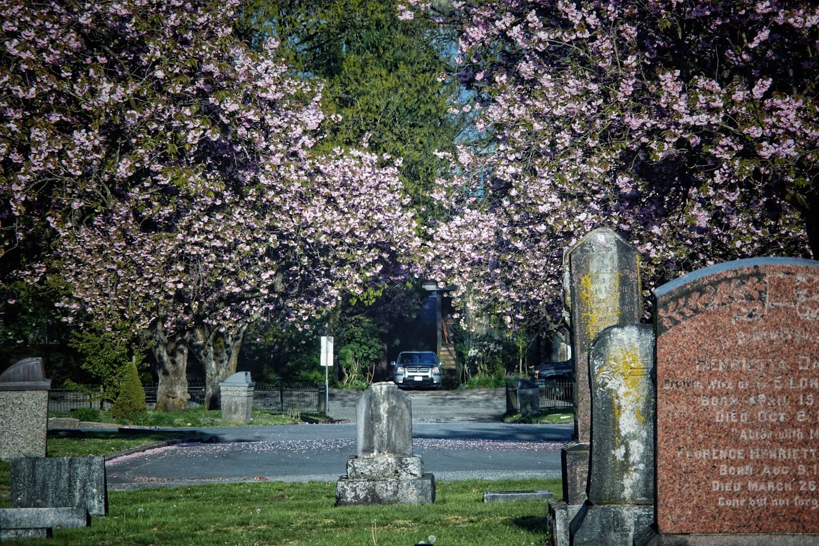 Vertical photo