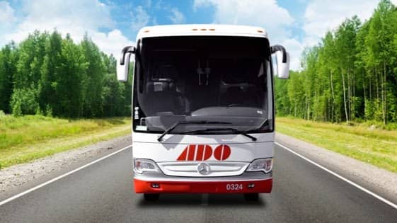 Convent of San Bernardino de Siena