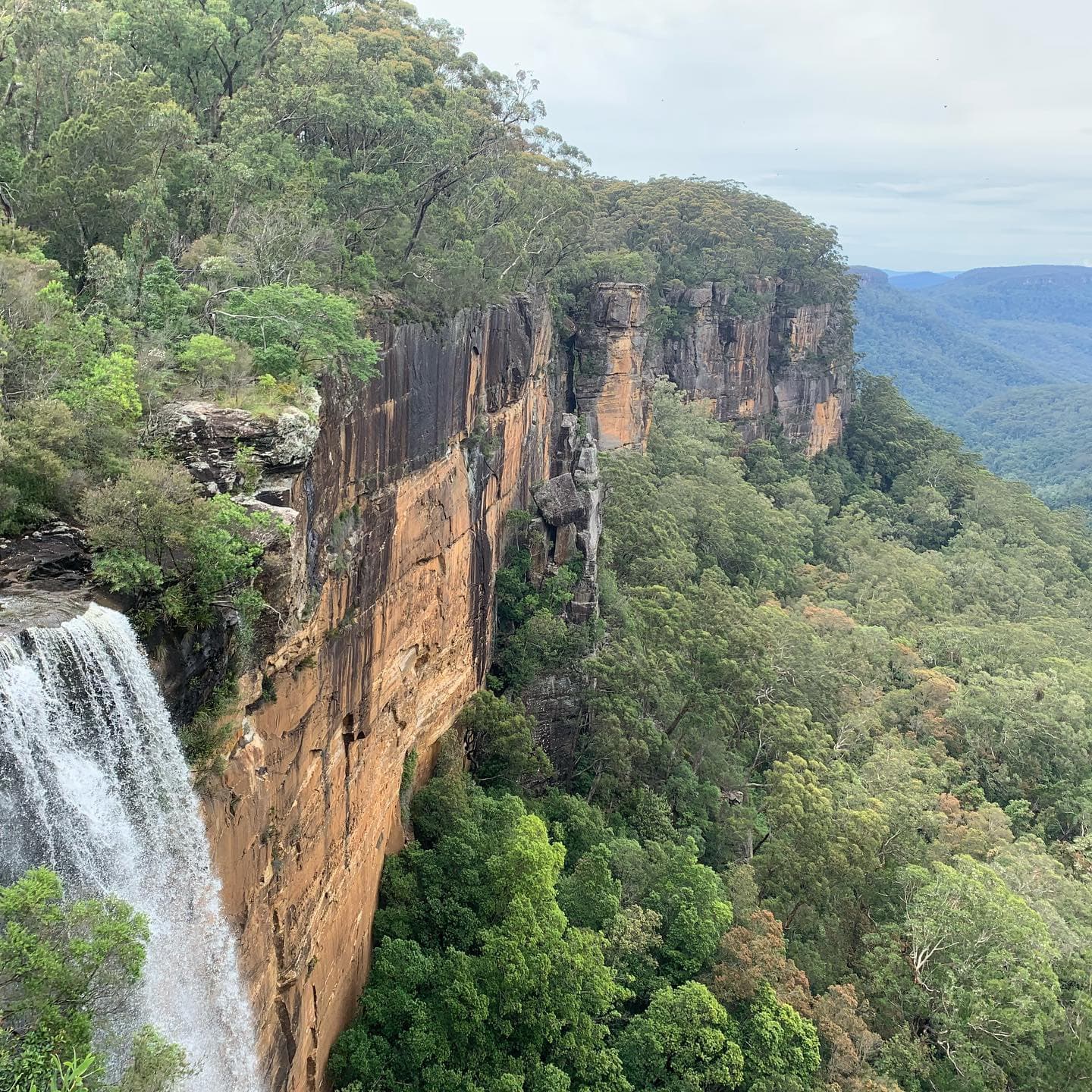 Fitzroy Falls - Image 1