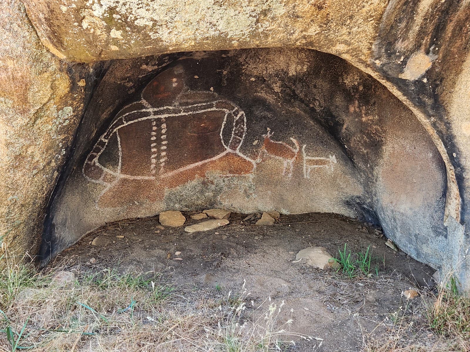 Bunjil Shelter - Image 1