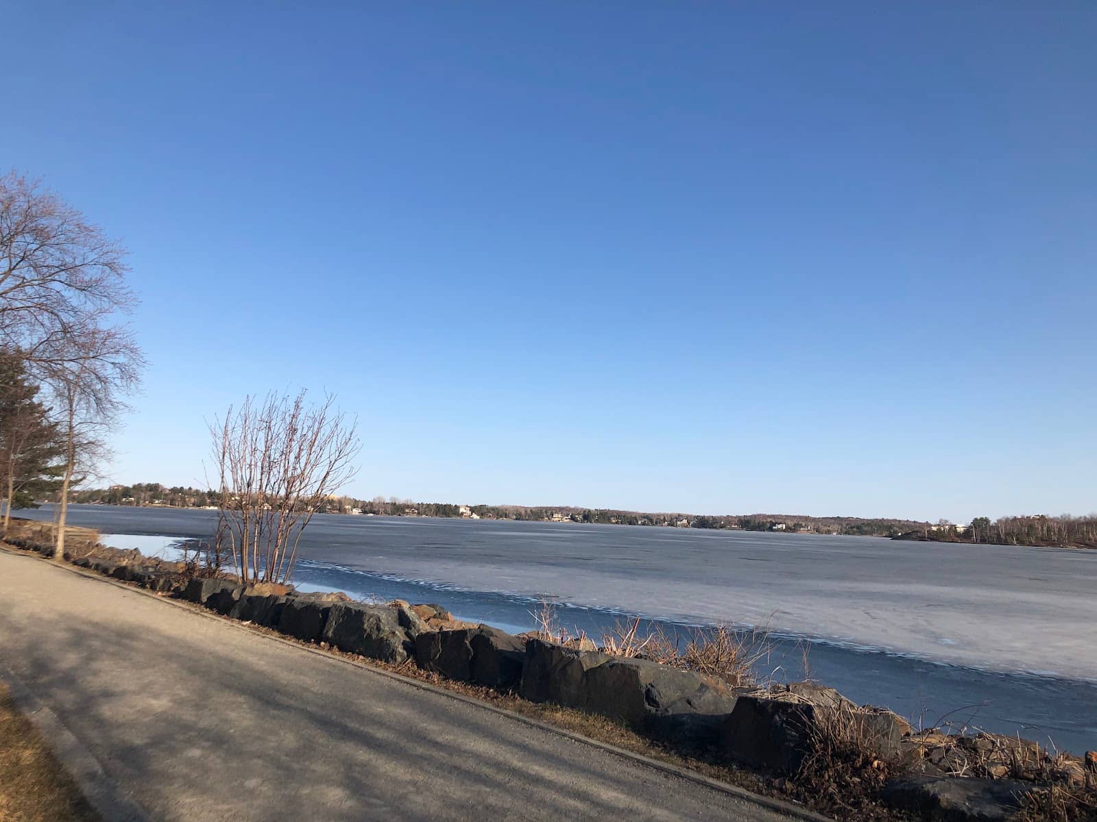 Scenic Winter Landscape