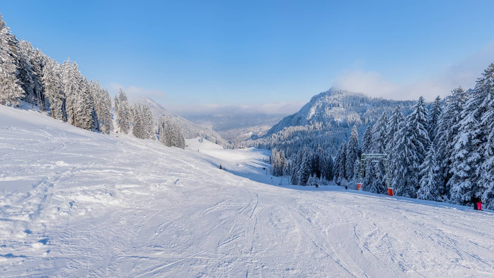 Peaceful Alpine Ambiance