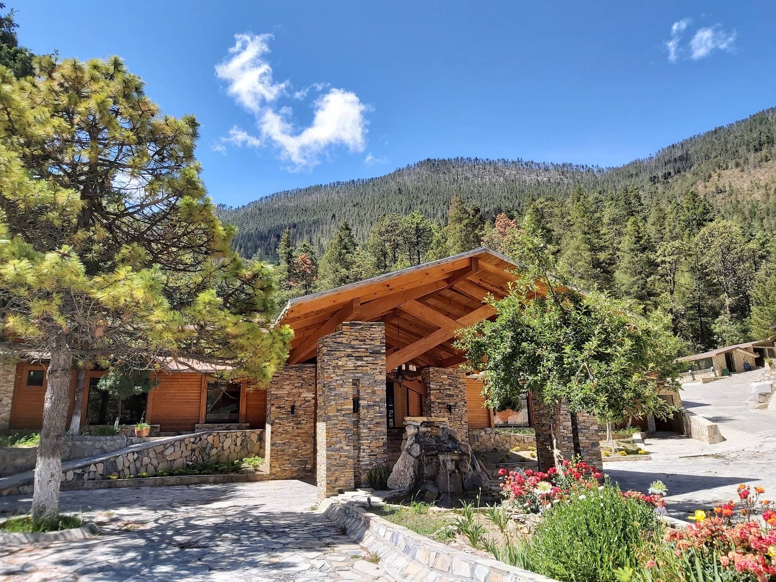 Scenic Horseback Tours