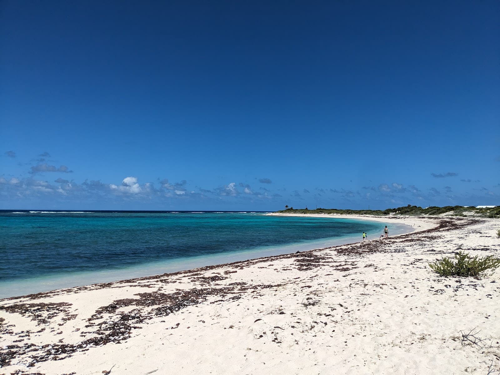 Loblolly Bay (Anegada) - Image 1