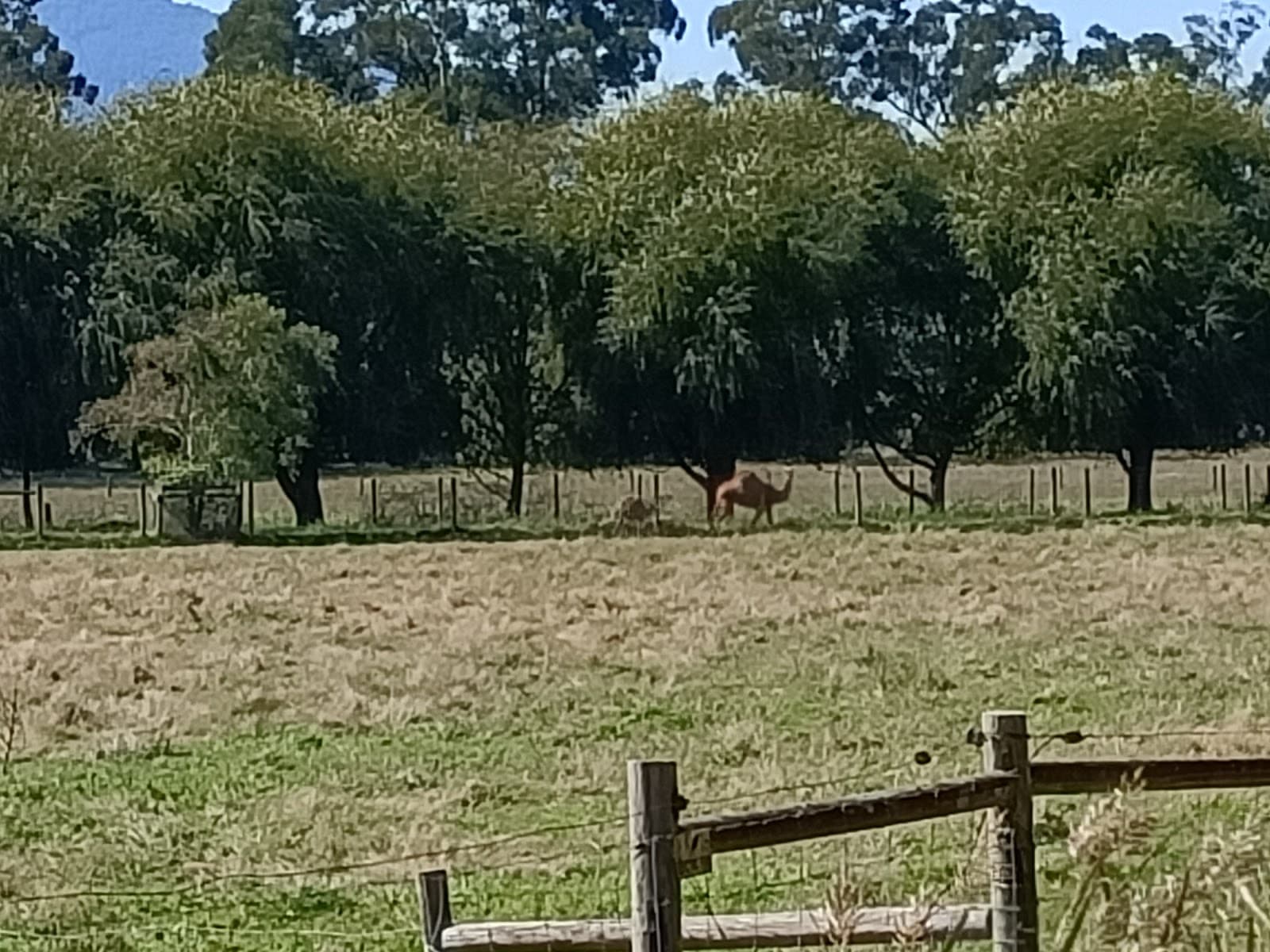 Warburton Rail Trail - Image 1