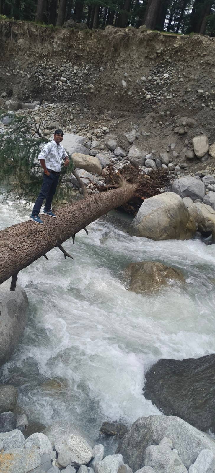 Cool Breeze and Serenity