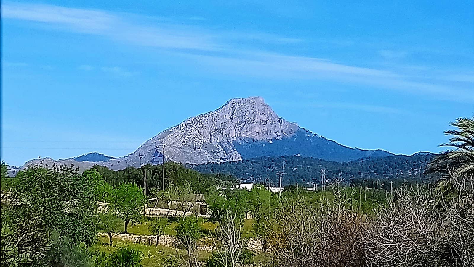 Vertical photo