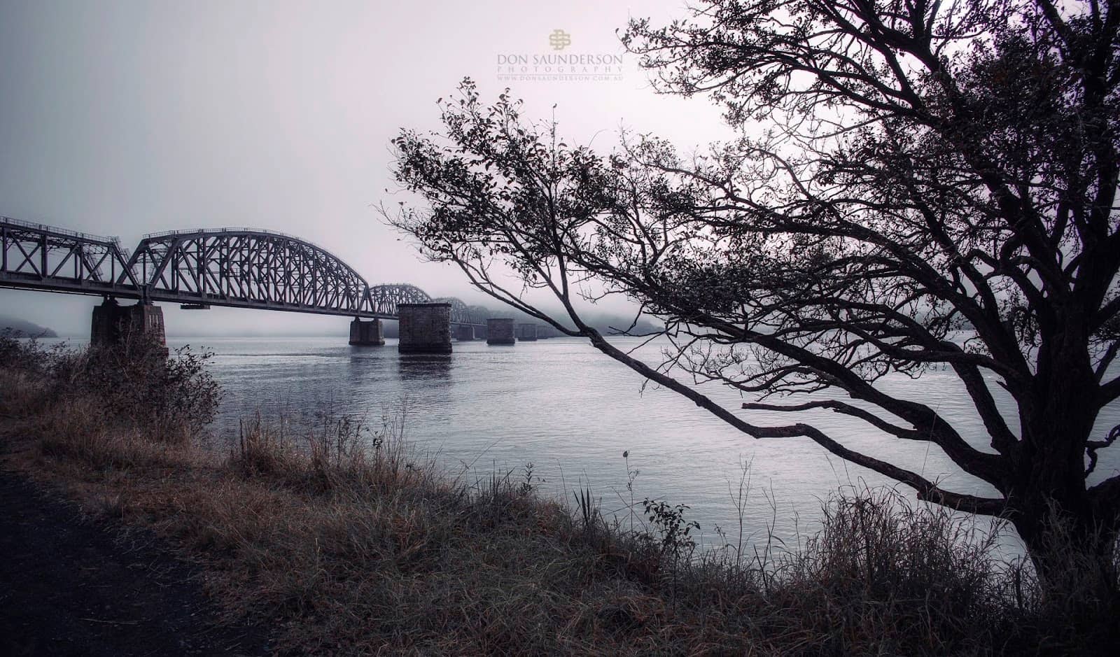 Picnic Train Adventure