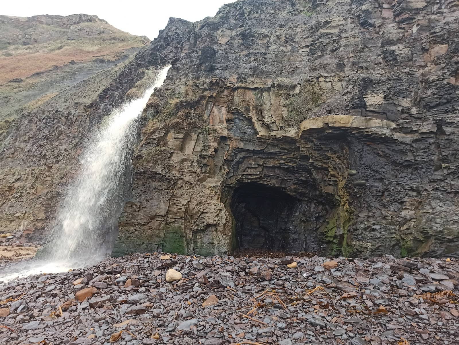 Vertical photo